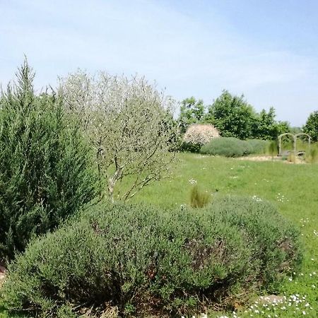 Le Grand Paradis Morannes sur Sarthe-Daumeray Esterno foto