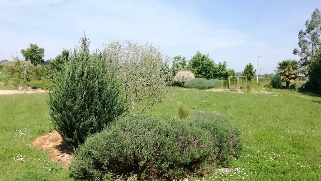 Le Grand Paradis Morannes sur Sarthe-Daumeray Esterno foto